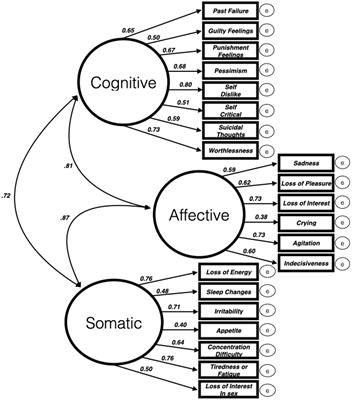 No evidence for relationship between paternal post-partum depressive symptoms and testosterone or cortisol in first-time fathers